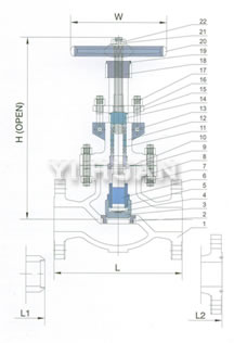 Cast steel globe valve product construction-4