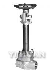 Cryogenic Globe Valve