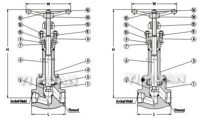 Cryogenic globe valve brief figure of structure