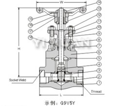 Forged steel bolt gate valve brief figure of structure