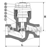 Pressure-seal piston check valve brief figure of structure