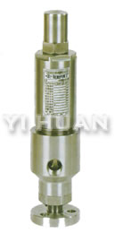 Safety overflow valve-2