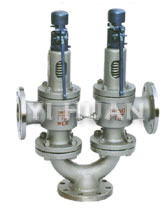 Twin spring type safety valve-2