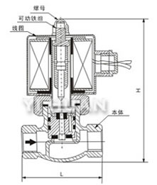  2L蒸汽電磁閥內部結構外形示意圖