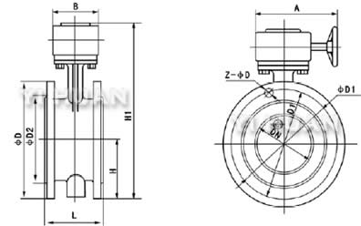 D342X軟密封蝸輪法蘭蝶閥結(jié)構(gòu)圖