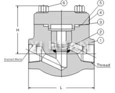  螺栓閥蓋升降式鍛鋼止回閥 結(jié)構圖 