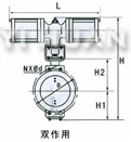 雙作用結(jié)構(gòu)示意