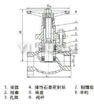 neiluowenzhusaifa-2.jpg