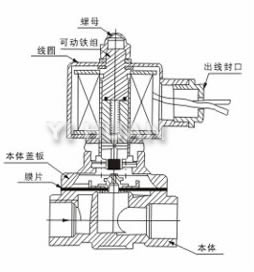 df_a-diancifa-3 (1).jpg